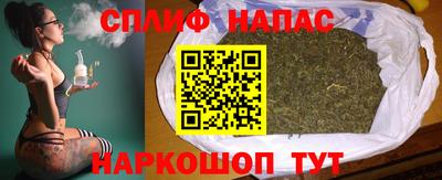 apvp Кингисепп