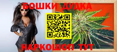 apvp Кингисепп