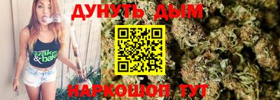 apvp Кингисепп