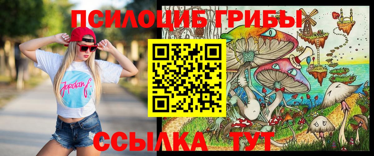 Галлюциногенные грибы мицелий Кольчугино