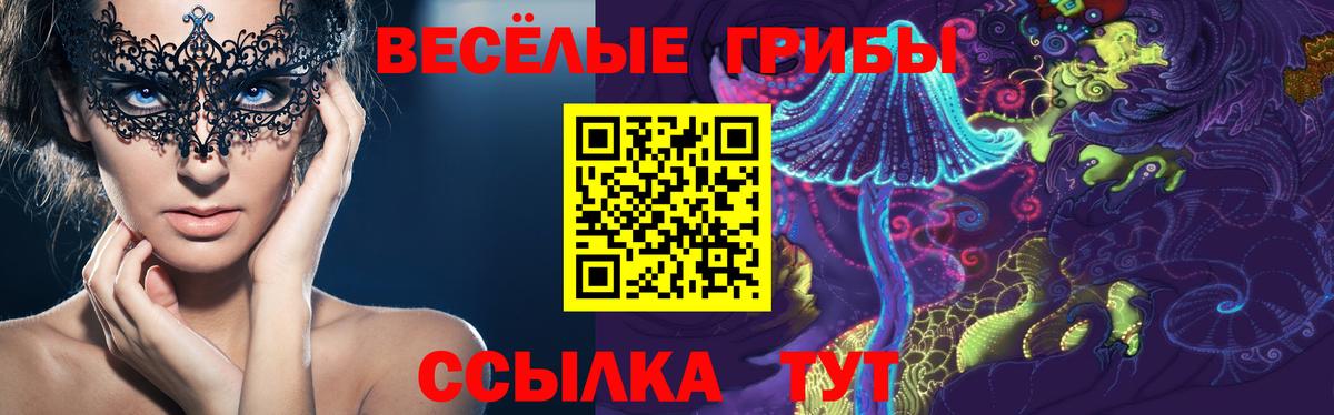Галлюциногенные грибы Magic Shrooms  Вход с VPN  Кольчугино 